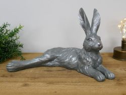 Laying Hare (11061)
