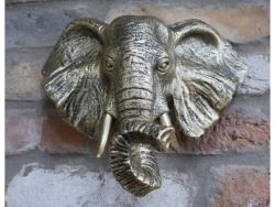 Elephant Head (11283)
