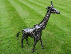 Giraffe (9319)